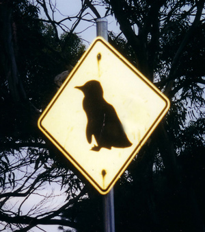 Penguin Crossing Road Sign in Tasmania